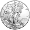 American Silver Eagle Coins